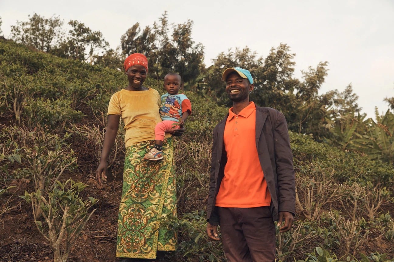 エブリデイティー［袋入：80ティーバッグ］ ルワンダ単一農園CTC紅茶【SPILL（スピル）】