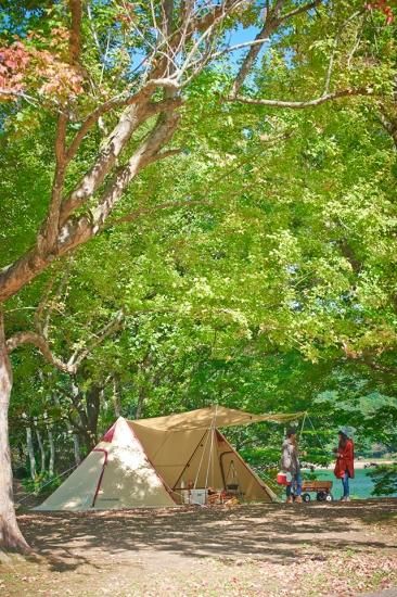 ツインピルツフォーク