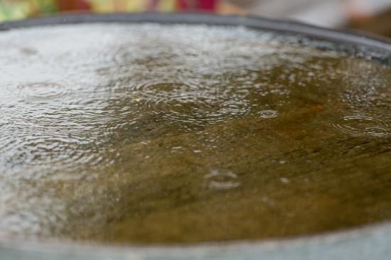 ガーデンウエディング　サンクゼールワイナリー様にて