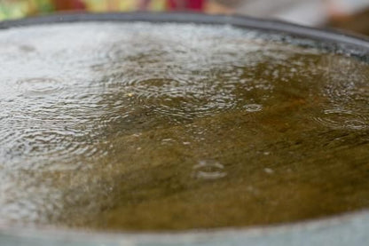 ガーデンウエディング　サンクゼールワイナリー様にて