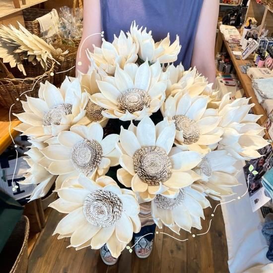 Sun Flower サンフラワー