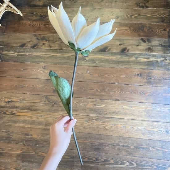 Sun Flower サンフラワー