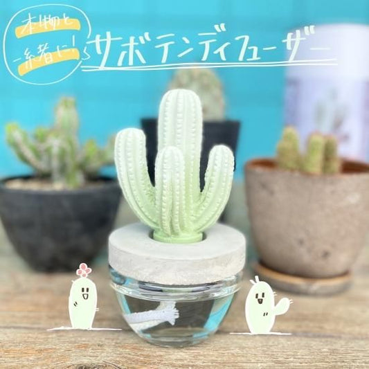 サボテンディフーザー