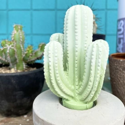 サボテンディフーザー