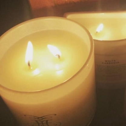 マインビーチ　カカドゥプラムキャンドル