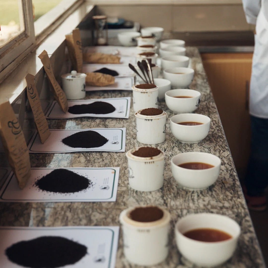 エブリデイティー［袋入：80ティーバッグ］ ルワンダ単一農園CTC紅茶【SPILL（スピル）】