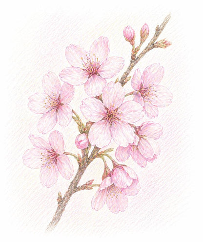 Flower Ring（サクラ）【13号】